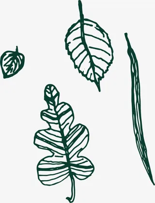 樟树叶飘飞免抠