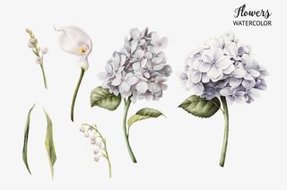 写实紫色花朵免抠