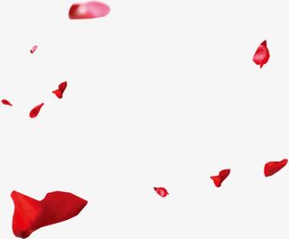 红色花瓣情人节免抠