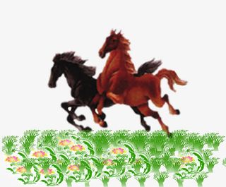 奔腾在绿草地上的骏马免抠