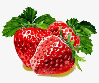 手绘红色草莓免抠