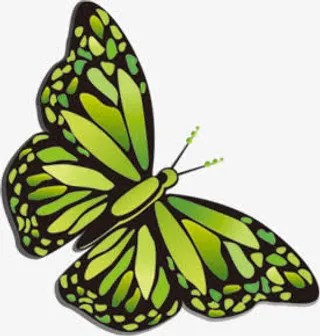 端午节蝴蝶动物蝴蝶免抠