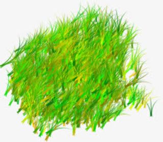 春天卡通线条小草免抠