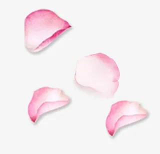 玫瑰花瓣免抠
