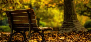 公园背景图高清