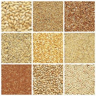 粮食背景底纹