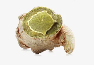 文山三七田七药材免抠