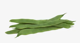 新鲜四季豆免抠