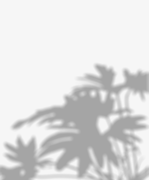 花草阴影光影黑色免抠