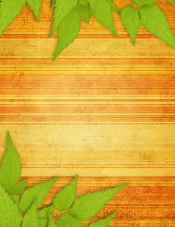 绿叶与木纹背景