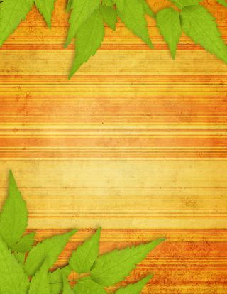 绿叶与木纹背景
