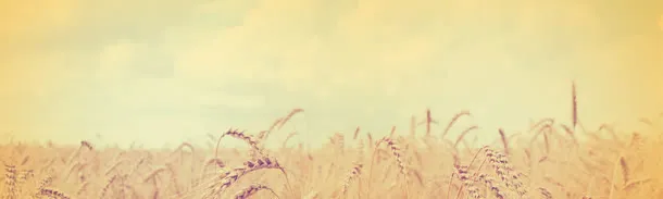 中秋节banner创意设计
