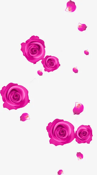 紫色玫瑰花免抠