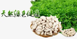 花生农产品免抠