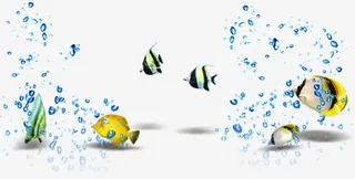六只不同热带鱼夏天免抠