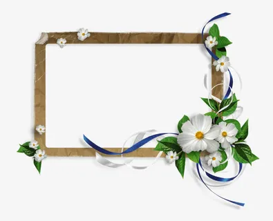 白色花边免抠
