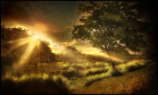 夕阳树枝大山唯美免抠