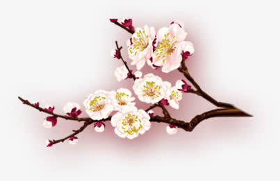 元宵节大促店铺中国风素材免抠