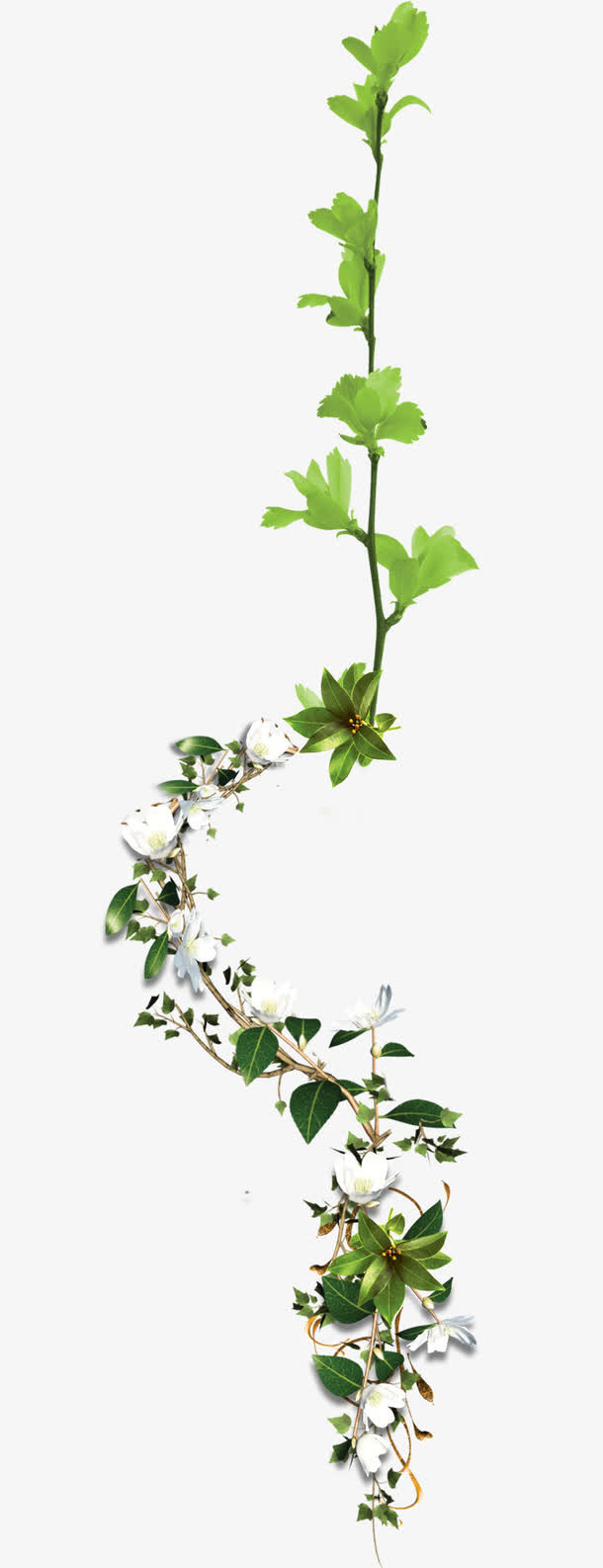 树枝免抠漂浮叶子元素