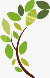 树木树叶免抠