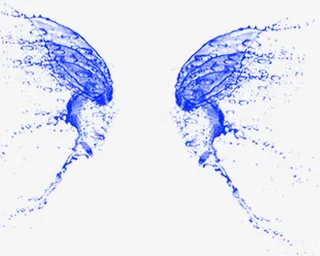 夏日海报沙滩翅膀形状水珠免抠