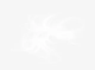 杂乱无章的发丝线头毛发免抠