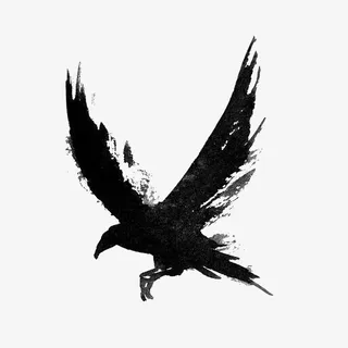 黑色老鹰免抠