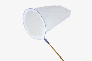 实物捕虫网免抠