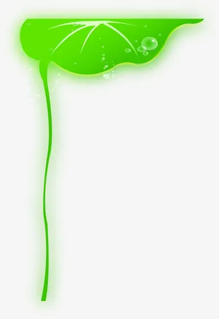 春天手绘荷叶水滴装饰免抠