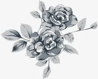 水彩牡丹矢量图免抠