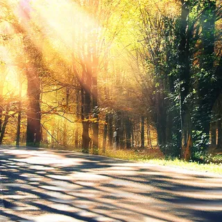 双重曝光风景图免抠