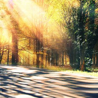 双重曝光风景图免抠