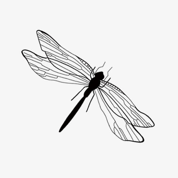 白色的蜻蜓图免抠