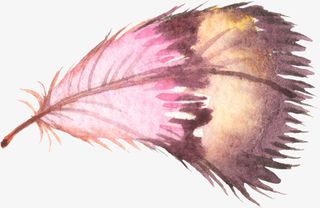 水彩手绘鸟类羽毛免抠