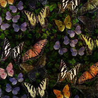 手绘蝴蝶绿叶壁纸免抠