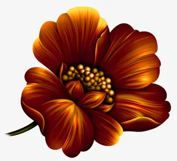 手绘菊花 一朵菊花免抠