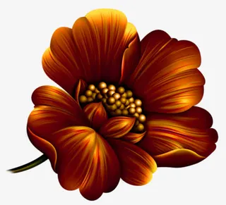 手绘菊花 一朵菊花免抠