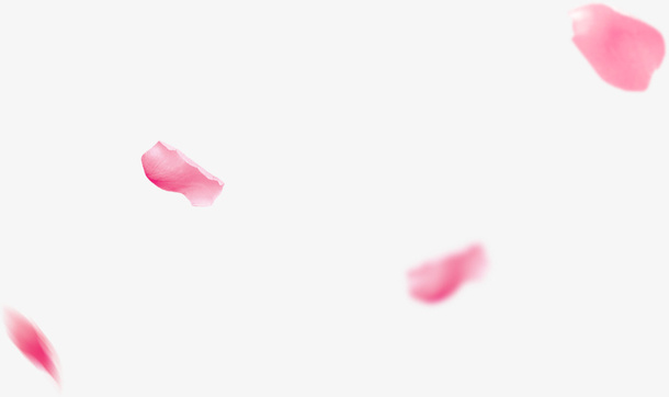 花瓣漂浮免抠