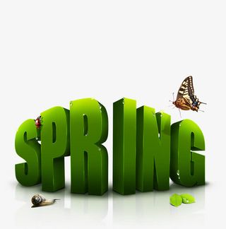 绿色立体春天字母免抠