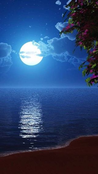 沙滩海边夜景H5背景高清