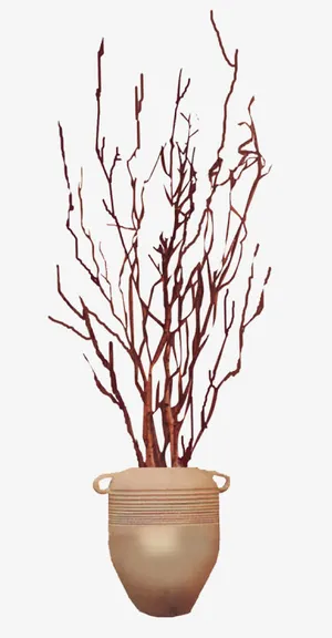 凌乱的树枝免抠