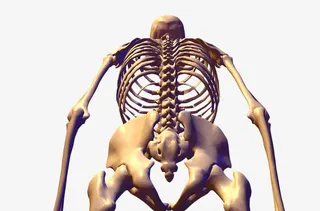 金色骷髅的后背免抠