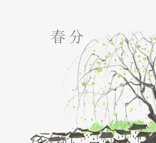 二十四节气之春分萌芽柳树免抠手绘/卡通卡通元素