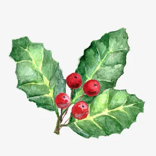 手绘绿色植物叶子免抠图免抠