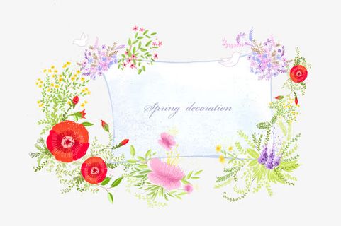 红花 花边 花朵 花卉 绿叶 小鸟免抠