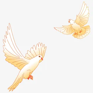 飞翔中的鸽子免抠