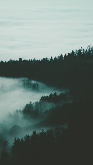 黑色和白色高清