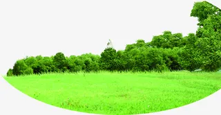 绿意公园草地树林免抠