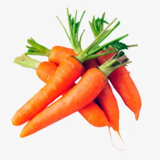 胡萝卜素材免抠素材免抠