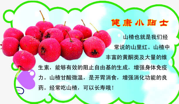 山楂小贴士矢量免抠